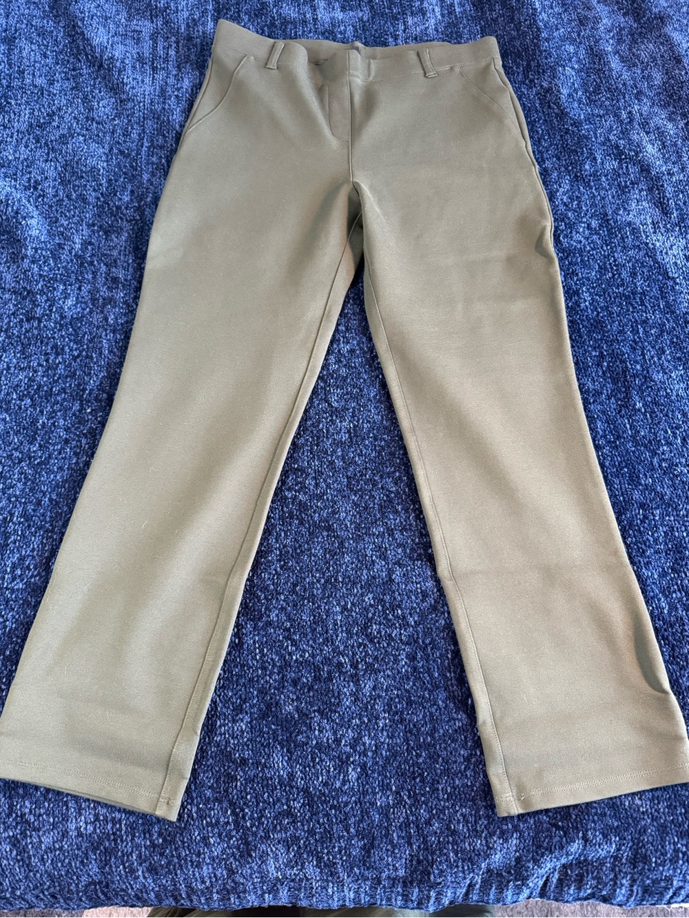 Quince Ultra-Stretch Ponte Straight Leg Pants Olive Green M X-Petite